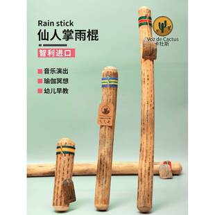 卡杜斯仙人掌雨棍雨声棒南美智利仙人掌海浪拟声音疗冥想小众乐器