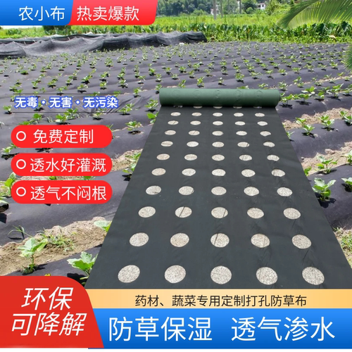 小布打孔防草布透气渗水保湿保肥