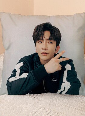 AnsonLo方形抱枕MIRROR周边卢瀚霆同款靠枕头靠垫枕套双面可定制