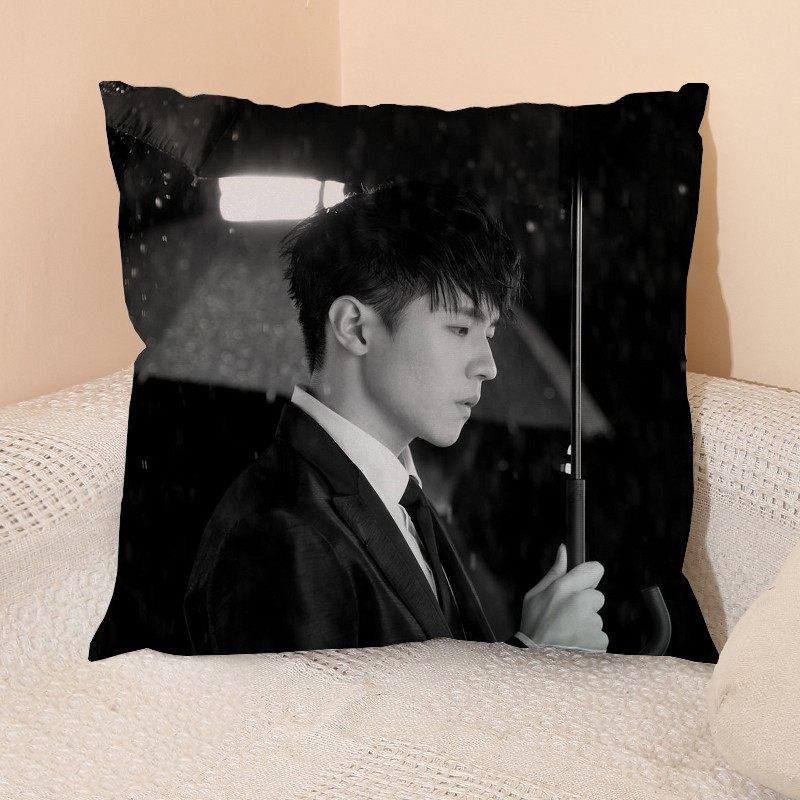 IAN方形抱枕mirror周边陈卓贤