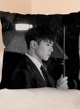 IAN方形抱枕mirror周边陈卓贤同款靠枕头靠垫床头汽车应援礼物diy