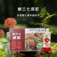 七丹鲜三七原浆200ml文山三七滴滴精华盒装