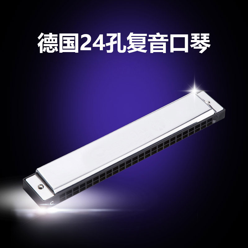 和来24孔复音口琴德国原装进口C调演出大师级复古和莱2580型进阶