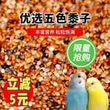 再再 Кора тигра пион черный феникс Маленький и средний попугайный зерно кормление зерна Пятицвета Песоцветный просо Смешанный просо Смешанный зерно