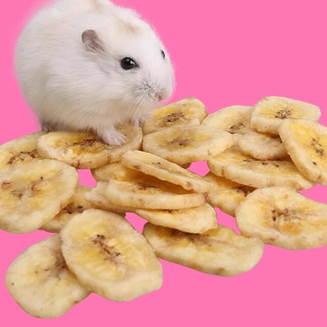 仓鼠零食香蕉干50g磨牙棒冻干