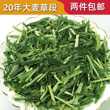 2件包邮新草兔子嫩绿大麦草段干荷兰猪豚鼠饲料天竺鼠龙猫500g
