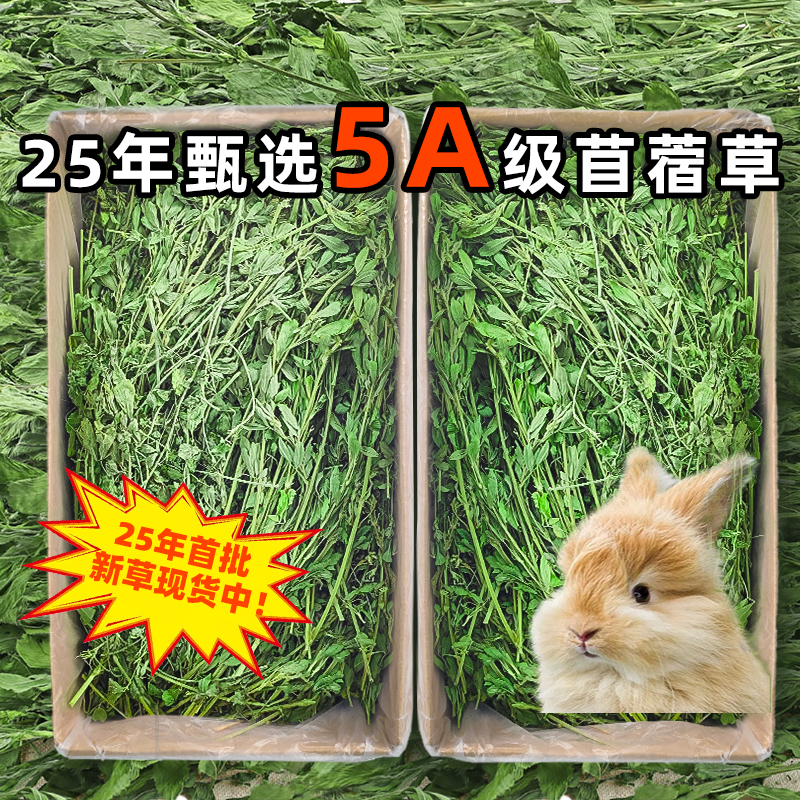 再再苜蓿草新草来袭拒绝挑嘴！