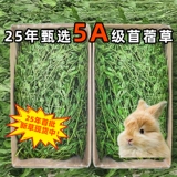 再再 Люцерна трава молодые кроличьи кроличье зерно для фиолетового цветочного пищи