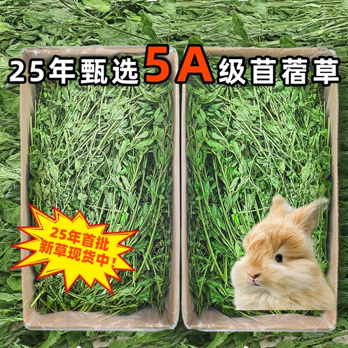 再再 Люцерна трава молодые кроличьи кроличье зерно для фиолетового цветочного пищи