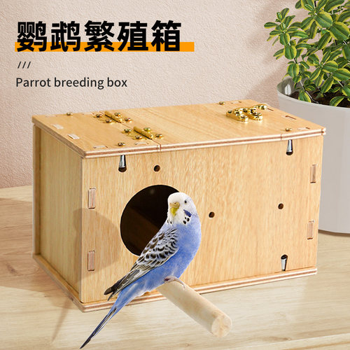 拼接鹦鹉繁育箱易安装方便清理