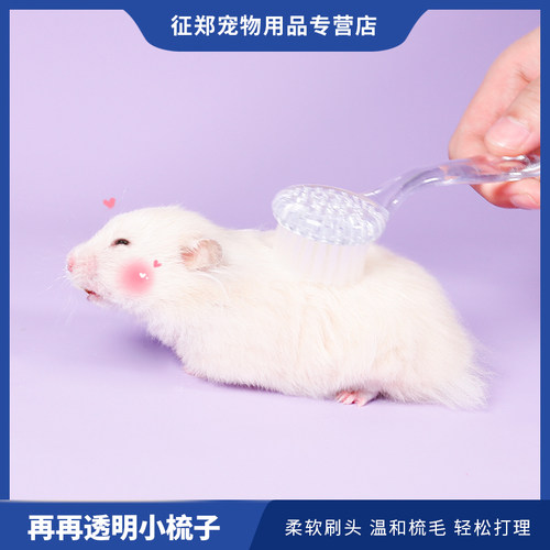 再再仓鼠软毛梳子长毛金丝熊生活用品小刷子兔子龙猫豚鼠梳理毛发