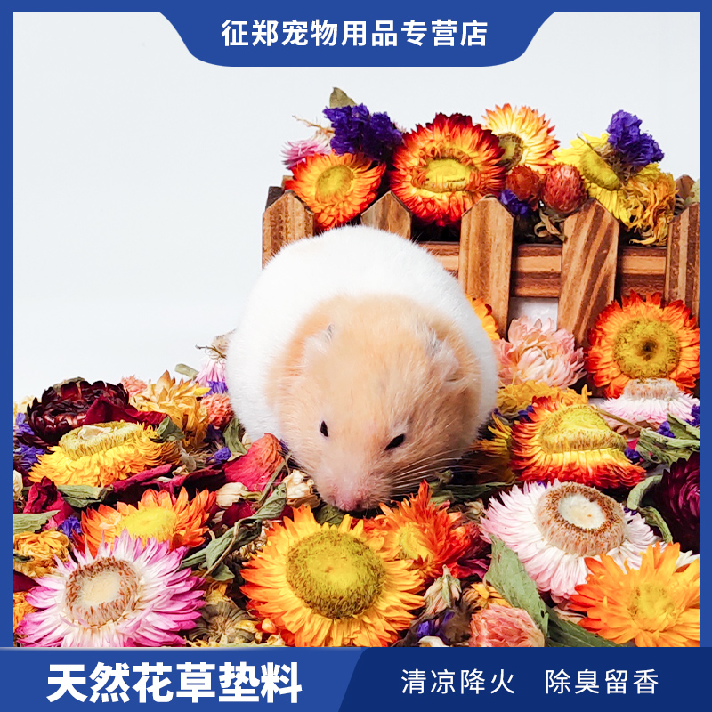 除臭夏天笼子套装齐全花草垫料