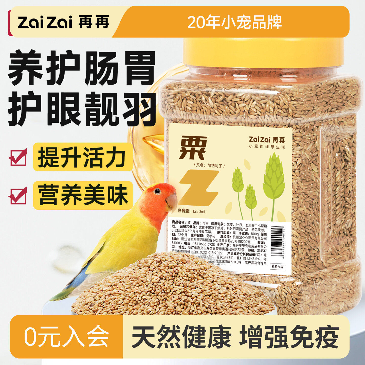 再再鹦鹉粟子颗粒饱满色泽透亮！图片
