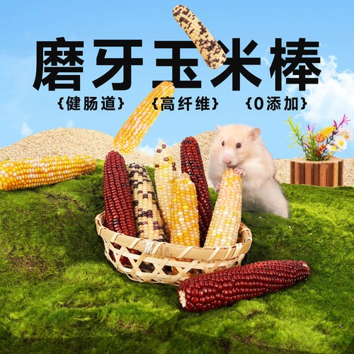 再再可磨牙零食玉米棒鼠鼠爱吃！
