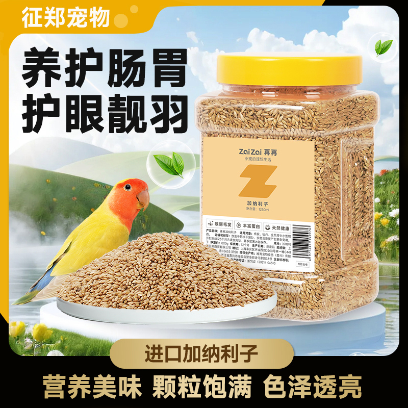 进口加纳利子颗粒饱满色泽透亮！