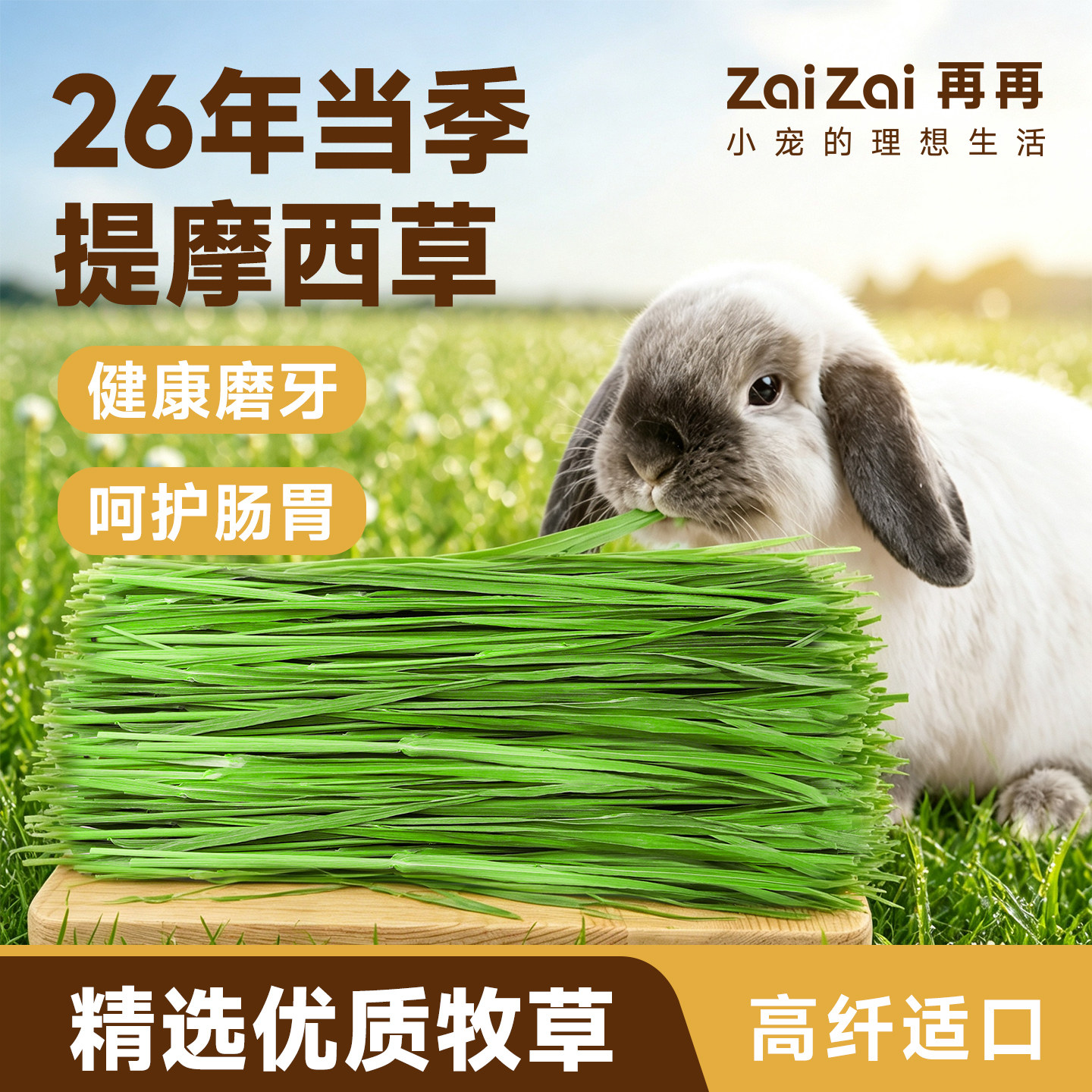 再再提摩西草兔兔爱吃！美味高纤图片