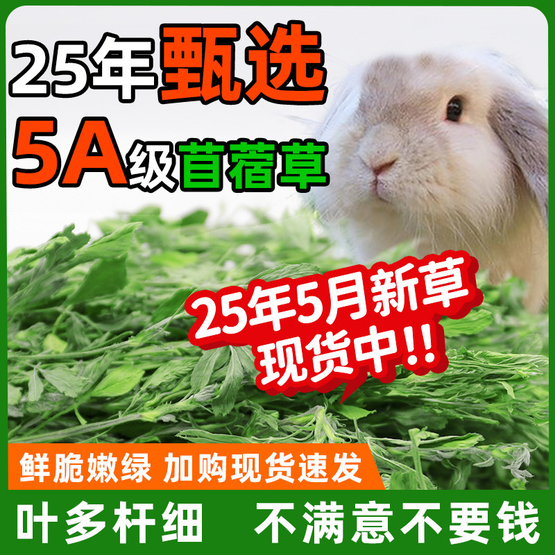 2025紫花苜蓿草烘干兔子干草兔粮饲料龙猫豚鼠荷兰猪幼兔食用草料,宠物/宠物食品及用品,兔兔干草,淘宝优惠券,粉丝福利购,淘宝优惠卷