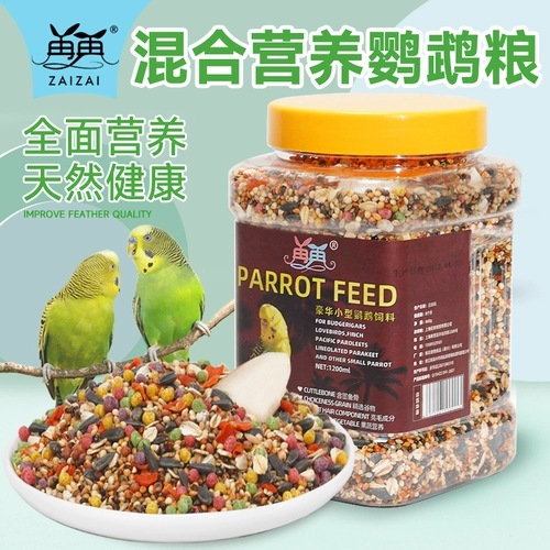 Попугай кормила птичья пищу тигр кожа черная феникса питание питание с пять пище