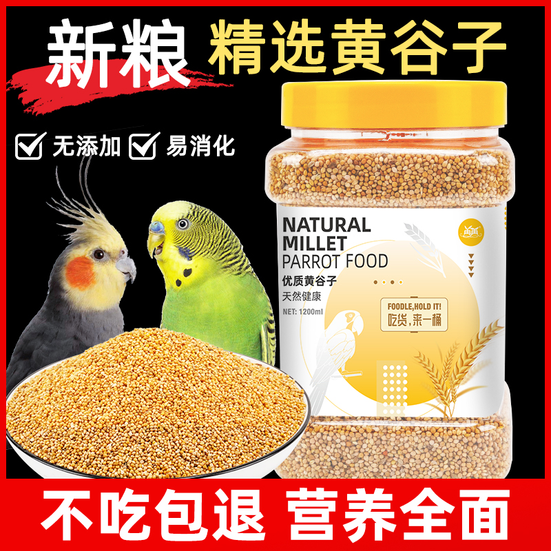 天然健康！当季带壳新黄谷子鹦鹉