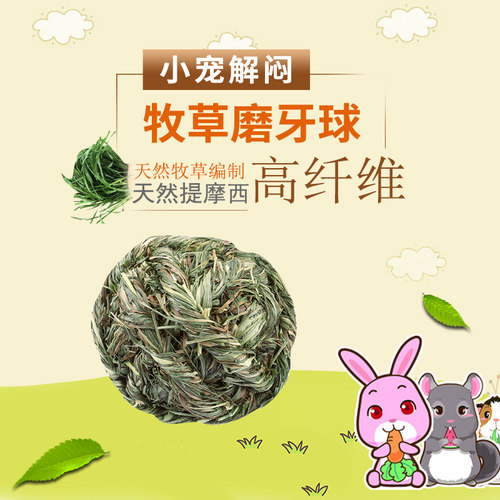 兔子龙猫荷兰猪豚鼠玩具提摩西