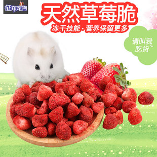 仓鼠粮食金丝熊 草莓干小零食荷兰猪花枝鼠龙猫饲料食物豚鼠苍鼠