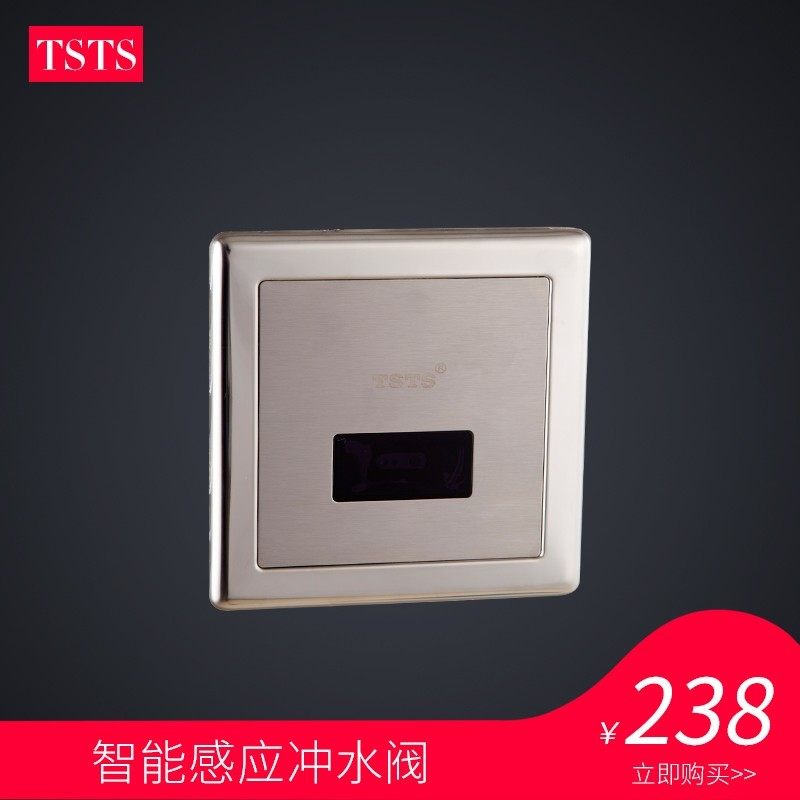 tsts 全铜 全自动感应大便器 蹲便器冲水阀 冲洗器 暗装入墙式