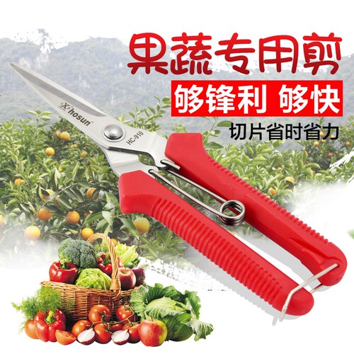 弘晨稀果剪刀葡萄剪园艺柑橘修花