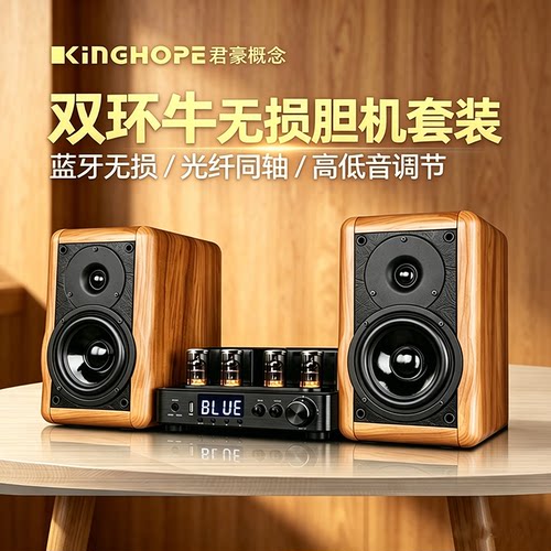 发烧电子管胆机hifi音箱