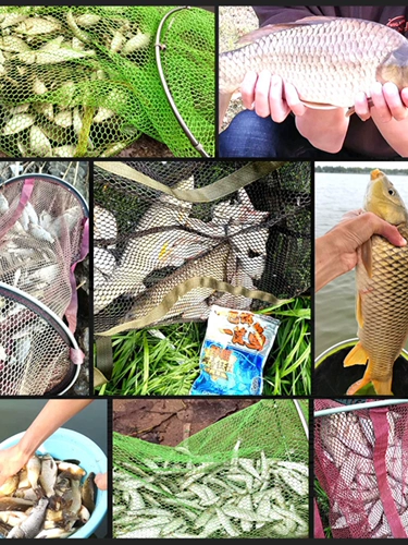 Пакет приманки, корзина рыбной рыбацкой приманки, осенняя сома приманка 918 Старая призрачная приманка Официальный флагман