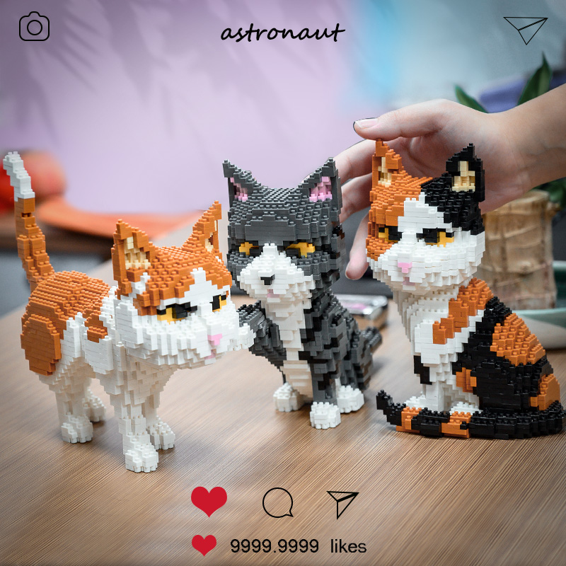 宠物猫狗微小益智成年女孩玩具