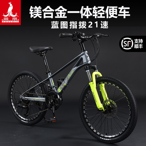 烤漆双碟刹减震学生自行车
