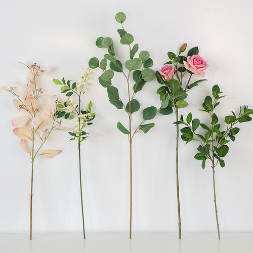 绿叶ins植物创意造景摄影仿真花