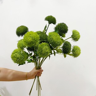 绿石竹 雀梅仿真花卉绿色假花摆设摆件装饰森系植物插花摄影道具