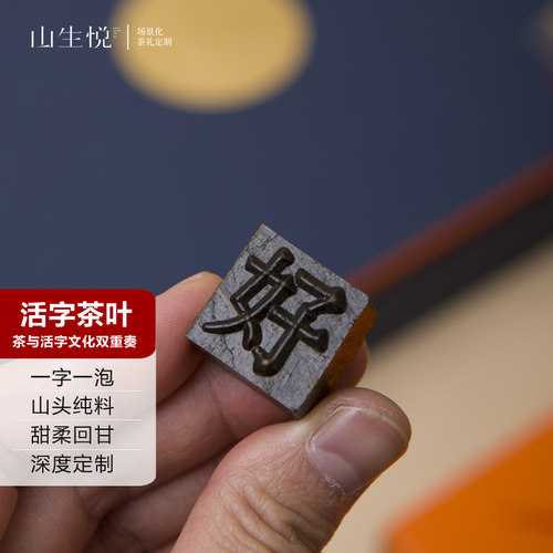活字茶黑茶湖南特产风雅集高端商务礼品文化创意定制茶叶礼盒装