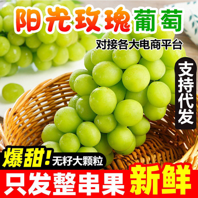 空运阳光玫瑰青提4斤香印葡萄新鲜孕妇水果晴王无籽提子整箱包邮