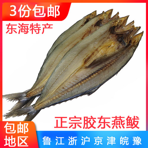 正宗燕鲅口感鲜咸香胶东鲅鱼