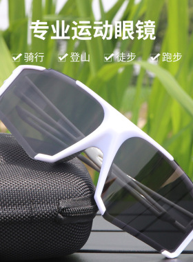 骑行眼镜偏光太阳镜防风
