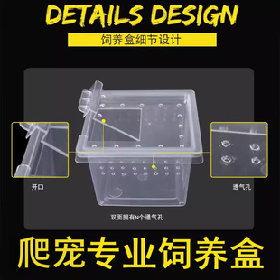 高透明爬虫爬宠饲养盒子小方盒各种人渣盒角蛙盒树栖盒昆虫饲养盒