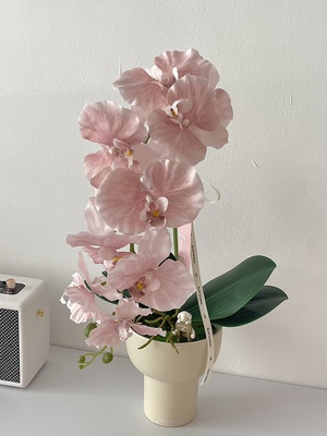 高端轻奢仿真蝴蝶兰盆栽假植物装饰摆件客厅室内仿真花假花摆设