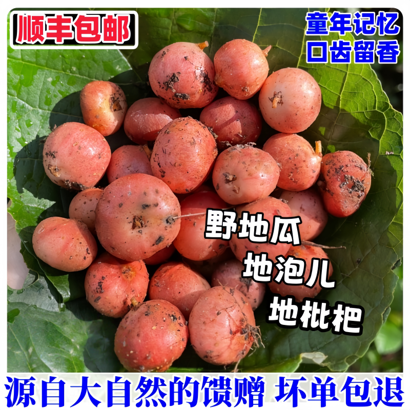 广东精选野地瓜新鲜现扒野生地枇杷果当季美味地石榴水果时的记忆
