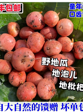 广东精选野地瓜新鲜现扒野生地枇杷果当季美味地石榴水果时的记忆