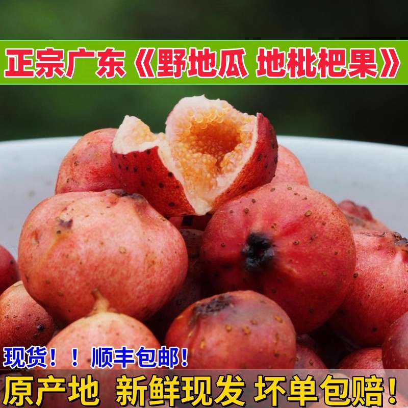 新鲜现扒野地瓜地枇杷美味超甜