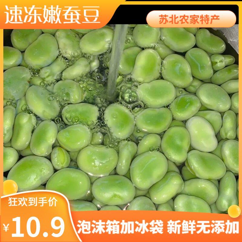 速冻蚕豆 青皮本地蚕豆 冷冻罗汉豆 青豆胡豆新鲜速冻 软糯蚕豆米