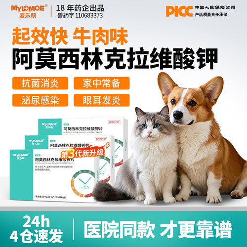 宠物阿莫西林克拉维酸钾猫咪消炎