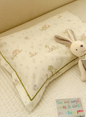 全棉枕套可机洗儿童成人通用纯棉30*50cm 40*60CM 48*74cm一只装