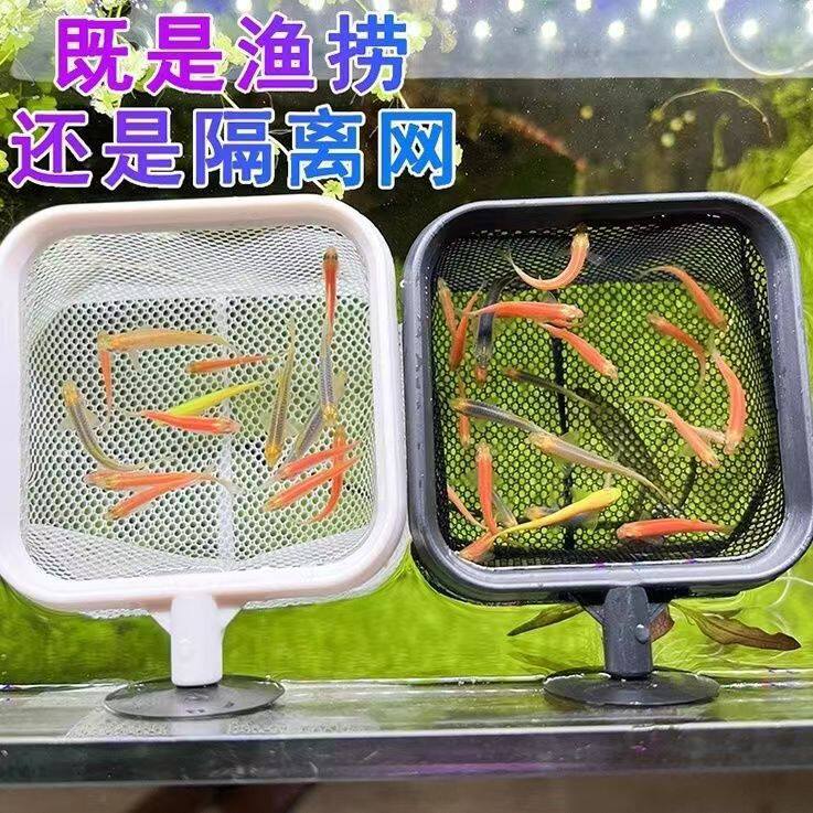 新品二代不锈钢可伸缩鱼抄3d捞鱼网 虾捞 鱼缸用小型鱼抄网 鱼捞