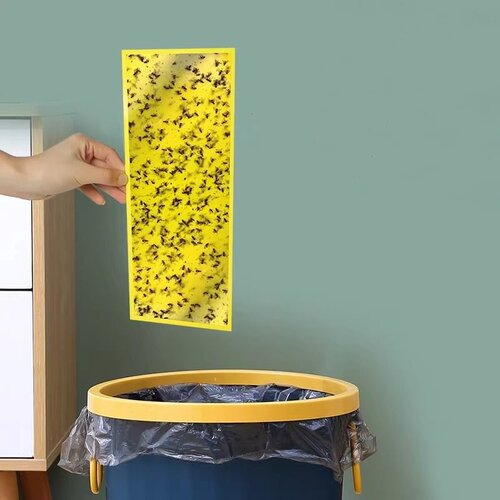 粘纸板帝研灭蝇灯专用粘蝇纸粘虫板灭蝇纸蚊子苍蝇灭蚊灯粘飞虫