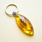 昆虫标本人工琥珀汽车钥匙扣钥匙挂件个性 创意挂饰不锈钢男腰挂