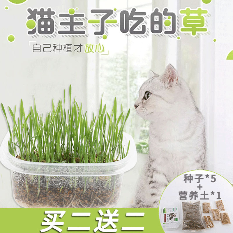 猫草种子薄荷粉猫零食猫咪化毛去毛球猫草大麦套装水培土壤种植