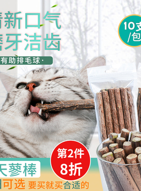 猫咪磨牙棒木天蓼棒猫咪零食幼猫小猫咬棒啃咬猫薄荷洁齿猫咪用品